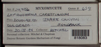 Image Associated With the Occurence